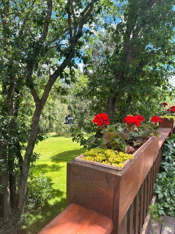 Country Sunshine Bed And Breakfast Hermosa Kültér fotó