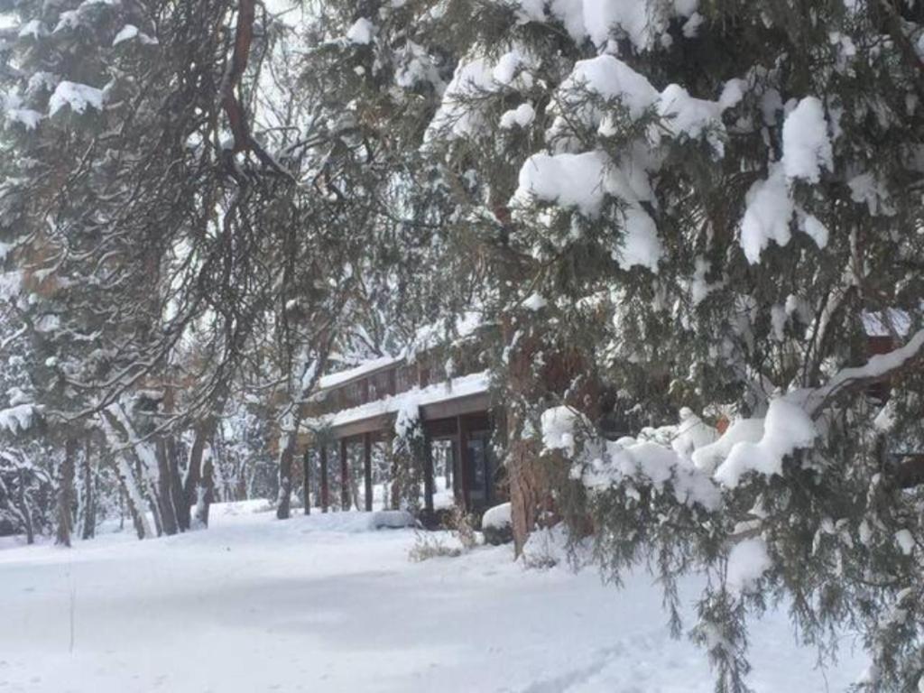 Country Sunshine Bed And Breakfast Hermosa Kültér fotó